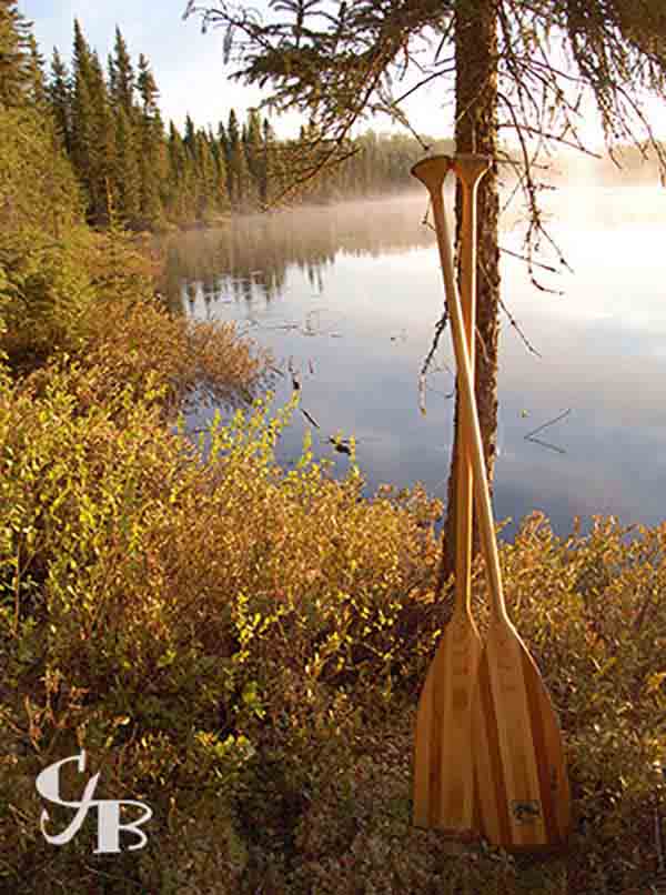 Photo: Paddles leaning against a tree near a lake in Minnesota at sunrise. Photo by Chris J. Benson