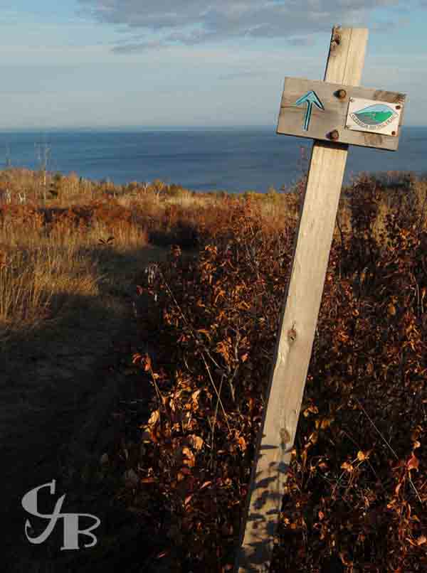 Photo: Superior Hiking Trail overlooking Lake Superior. Photo by Chris J. Benson