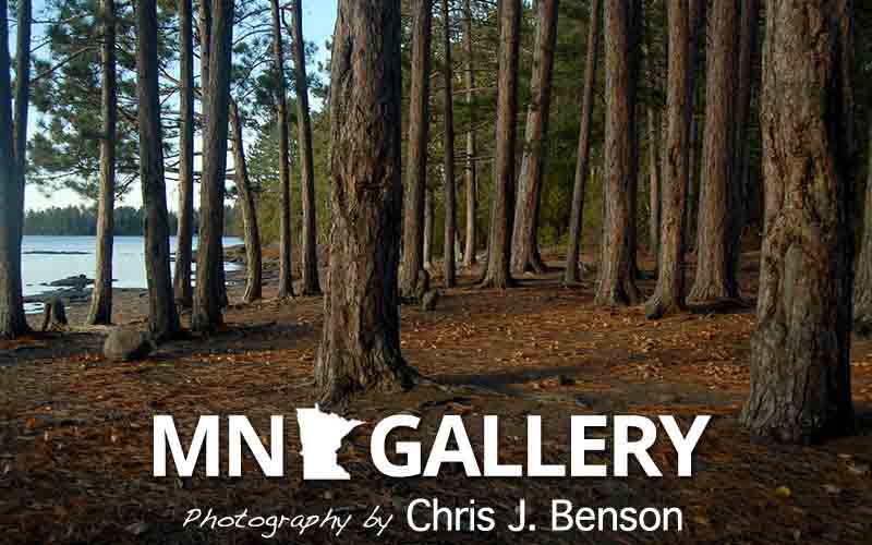 View the Minnesota Photography Gallery by Chris J. Benson