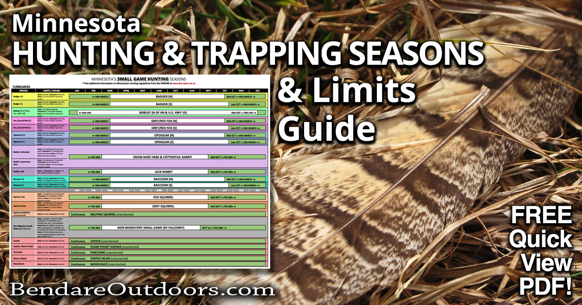 Minnesota Hunting and Trapping Seasons and Limits | Bendare Outdoors ...