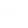 Icon: bird migration dashboard