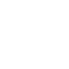 Icon: pmts