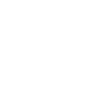 Icon: ski pass