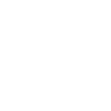 Icon: sna