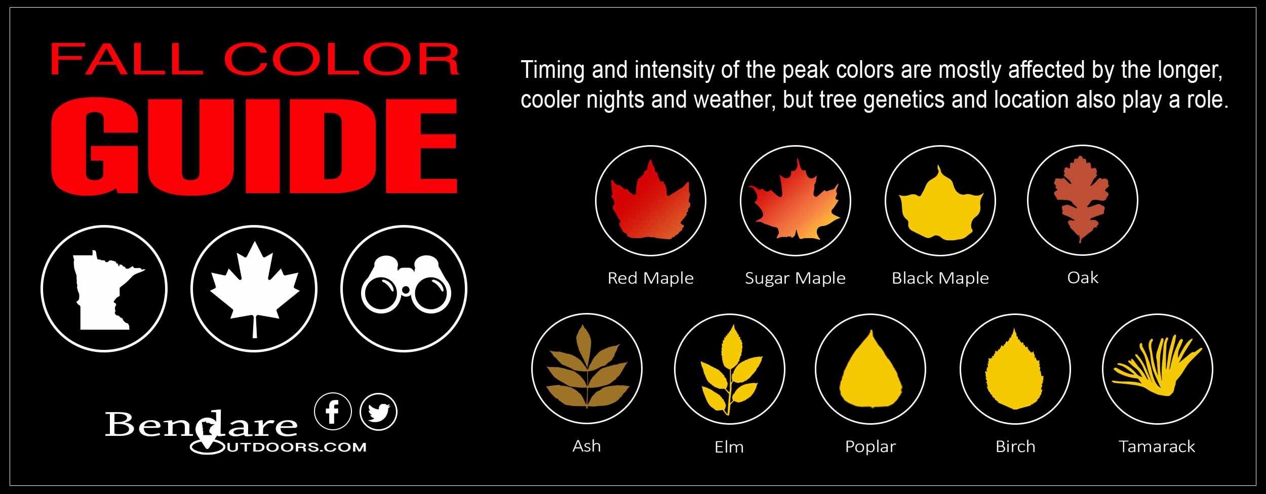 Minnesota Fall Color Guide Guide by Bendare Outdoors